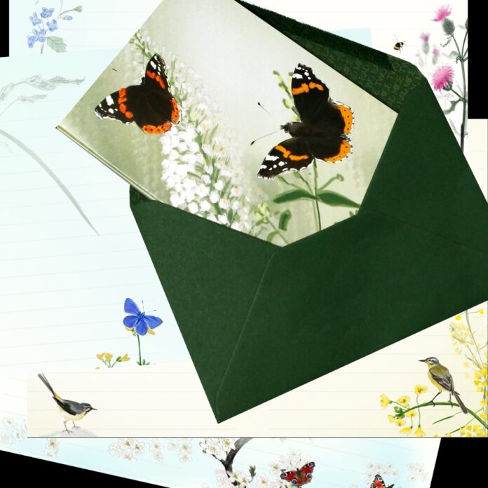 RTed Admirals mixed set Two Bad Mice notebooks