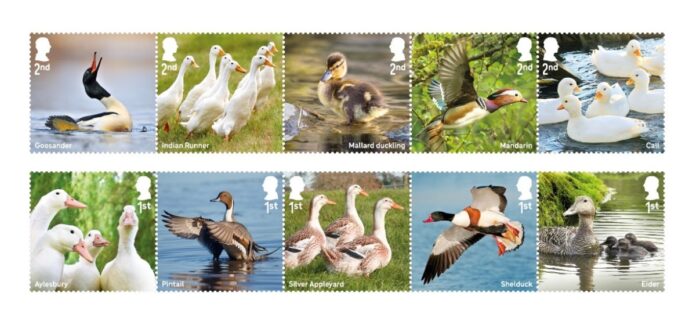 Royal Mail duck stamps