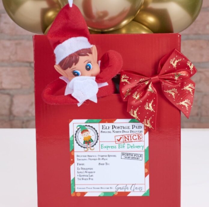 109 (1) Tiger Feet Xmas trends