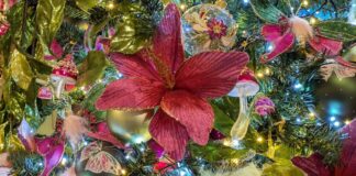 British Garden Centres unwraps Christmas themes BGC Xmas 2026 theme Fantasy