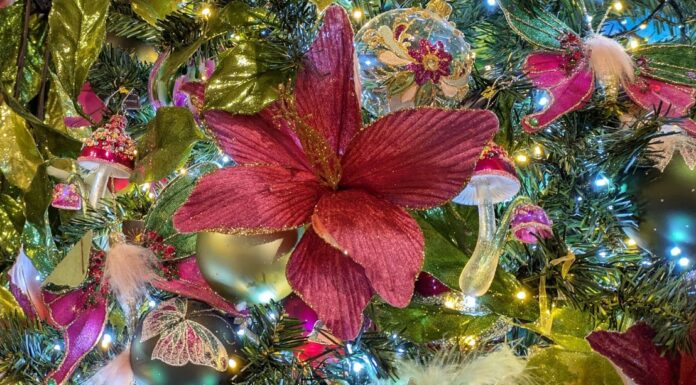 British Garden Centres unwraps Christmas themes BGC Xmas 2026 theme Fantasy