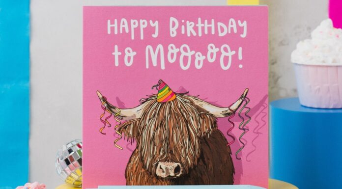 A-moo-sing card is bestseller Lovely Paper Stuff Highland Cow card