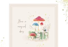 Must-see Kingfisher Cards at PG Live Kingfisher Cards at PG Live