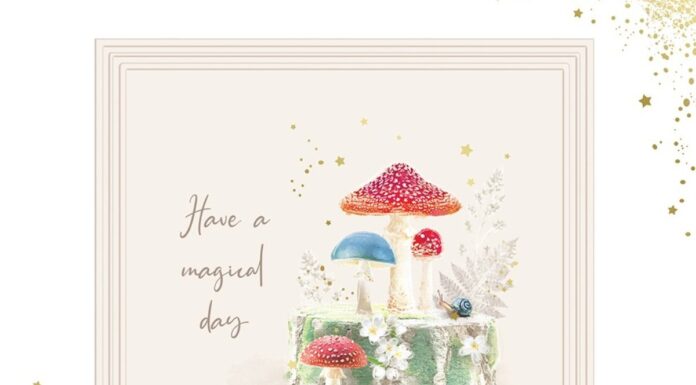 Must-see Kingfisher Cards at PG Live Kingfisher Cards at PG Live